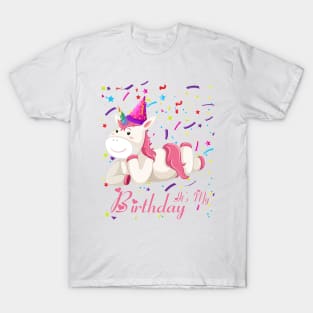 Funny Family It's My Birthday Girl Unicorn Gift T-Shirt